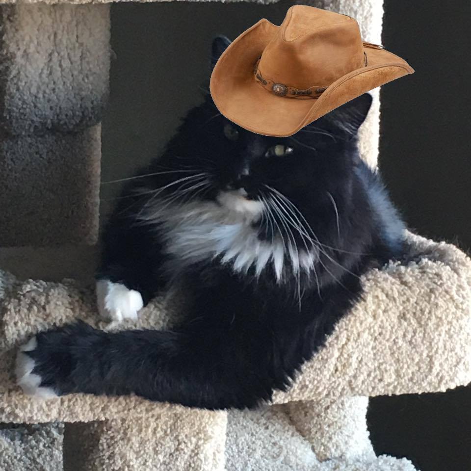 Howdy